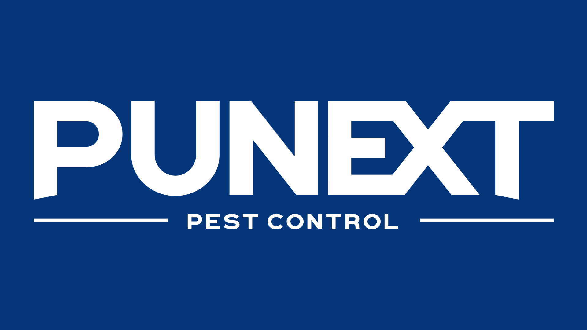 PUNEXT